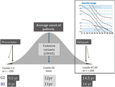 The Genetic Basis of Delayed Puberty